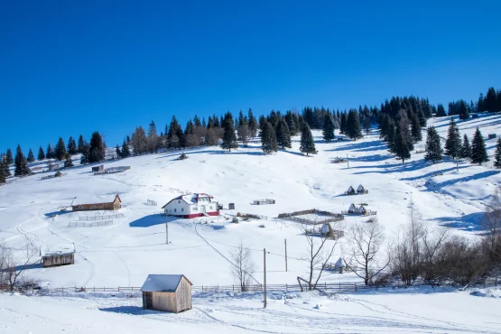 transfert stations de ski depuis strasbourg