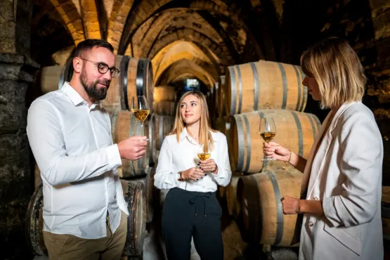 best vtc strasbourg route des vins tour vip